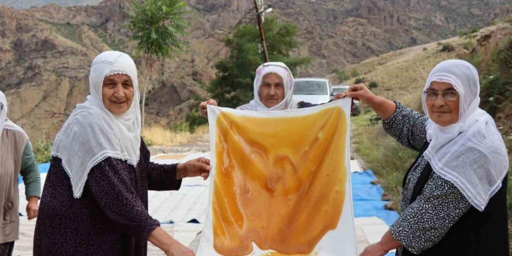 Pekmez ocakları bu kez pestil için yandı