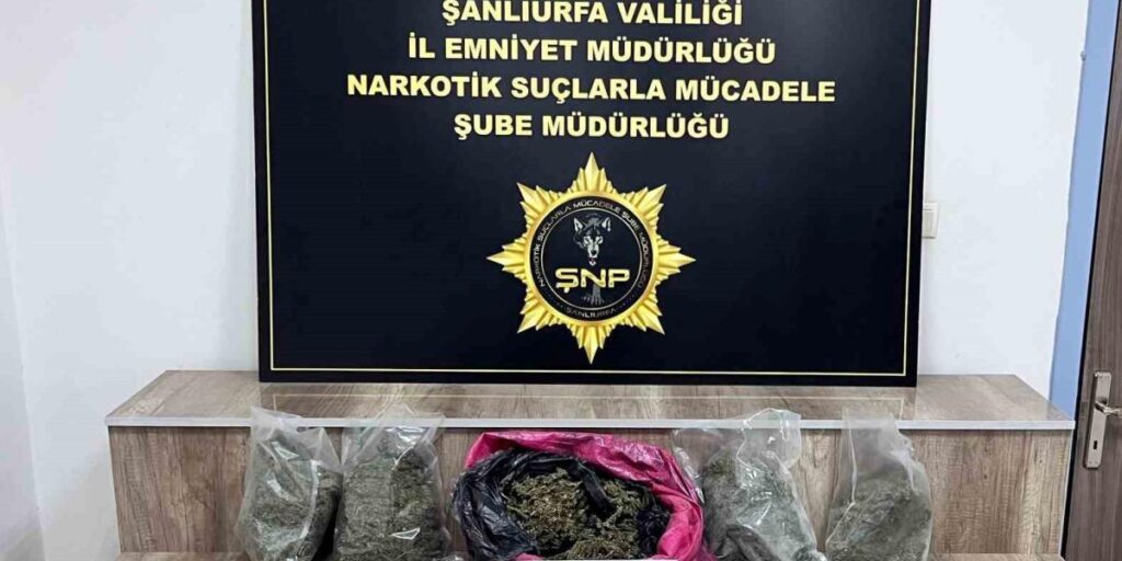 Siverek’te 7 kilo skunk ele geçirildi, 3 gözaltı