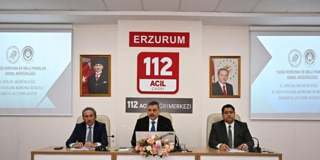 Sokak hayvanları mercek altında