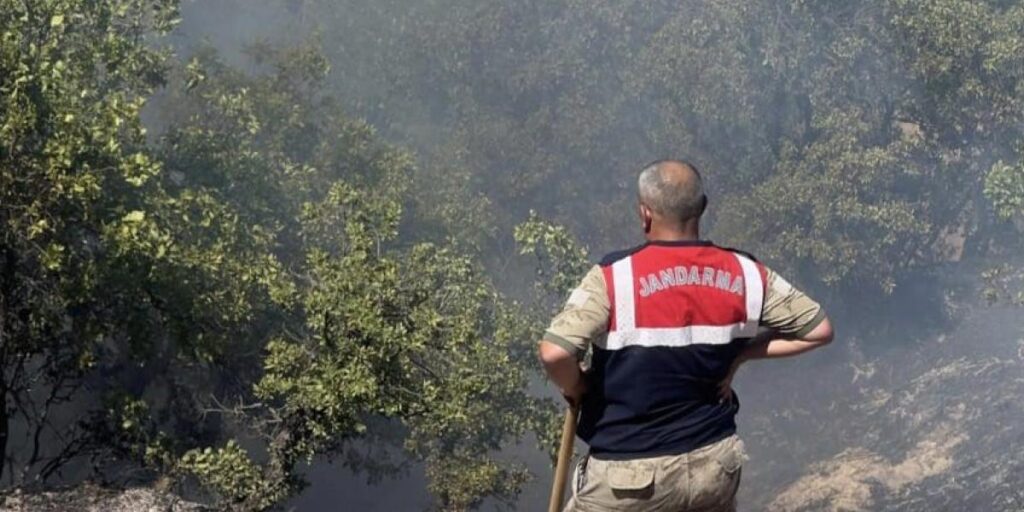Tunceli’de otluk ve ormanlık alanda yangın