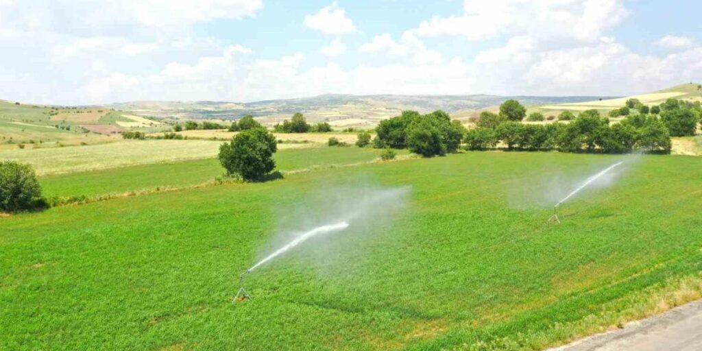 Tunceli’de sulu tarım ile ekonomiye 647 milyon TL katkı sağlanması bekleniyor