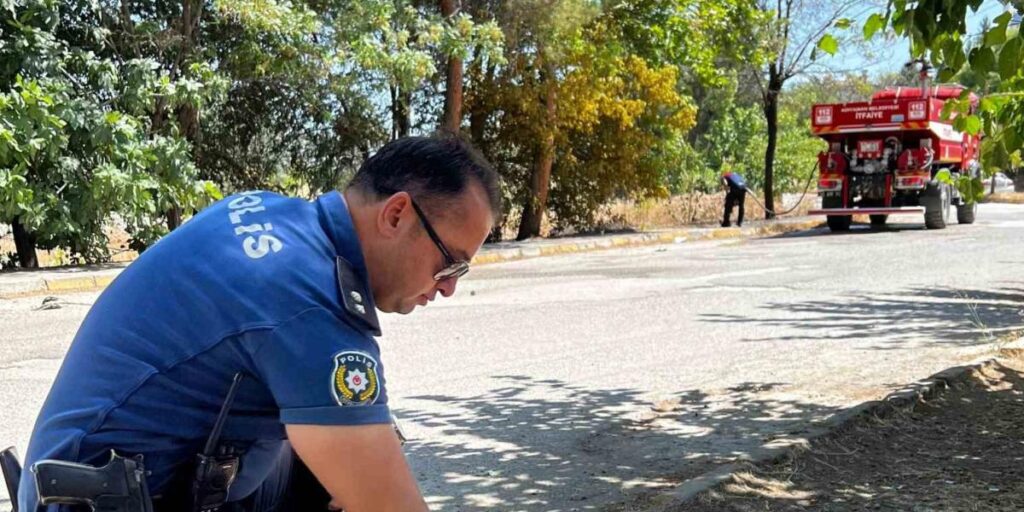 Yanmak üzere olan kaplumbağayı polis son anda kurtardı