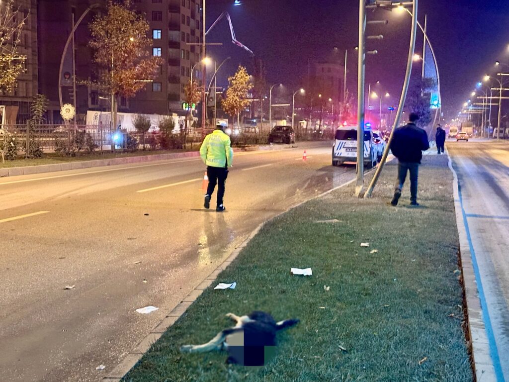 Köpeğe Çarpan Otomobil Kontrolden Çıkıp Refüje Çarptı