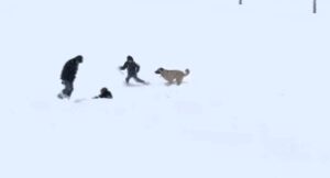 Arguvan’da Kar Neşesi: Çocuklar Oynadı, Köpek de Onlara Katıldı