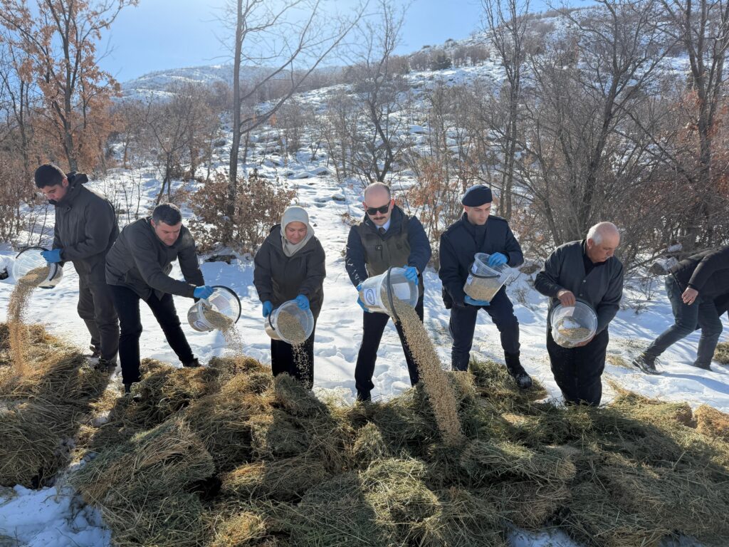 Doğanşehir’de Yaban Hayvanları İçin Doğaya Yem Bırakıldı