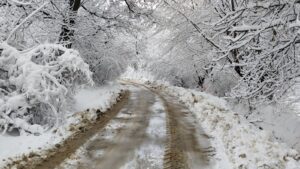 109 Mahalle Yolunda Karla Mücadele Çalışması