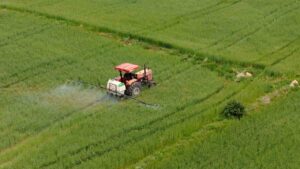 Çiftçilere 10,6 Milyar TL Tarımsal Destek Ödemesi Bugün Hesaplara Yatıyor