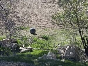 Baskil’de Bulunan Şüpheli Cisim Paniğe Neden Oldu