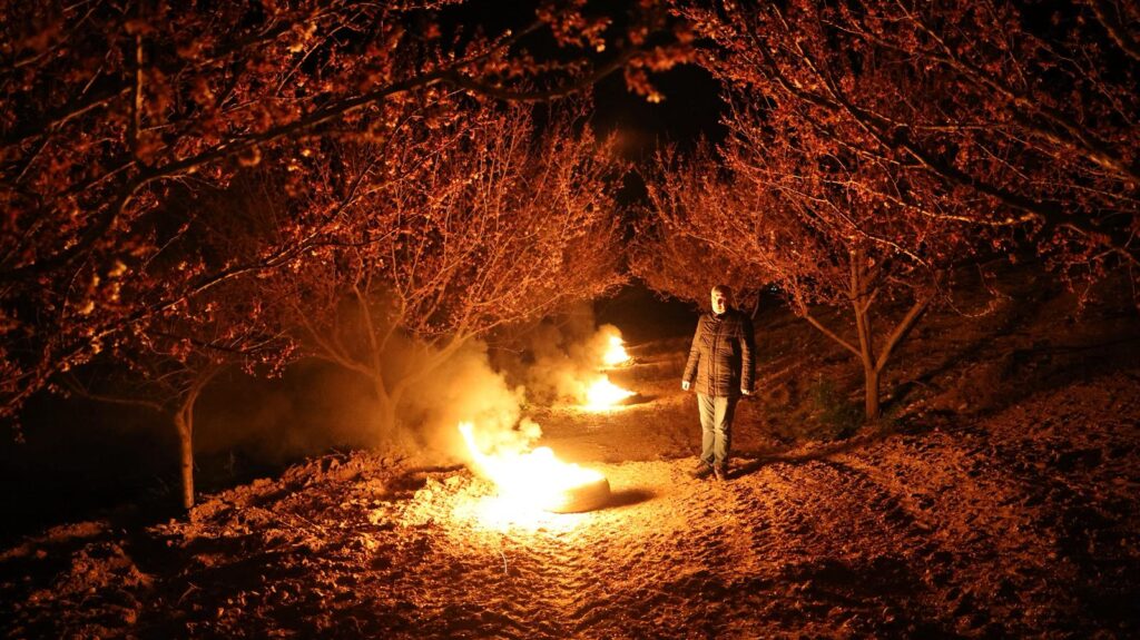 Malatya’da Kayısı da Zirai Don Riski Sürüyor mu?