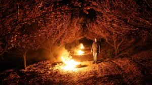 Malatya’da Kayısı da Zirai Don Riski Sürüyor mu?