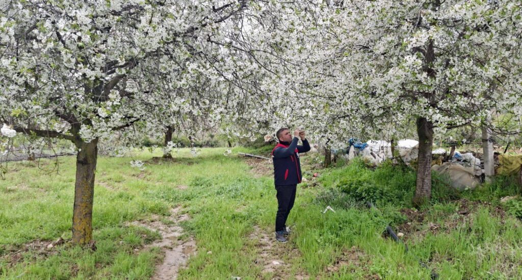 Afyonkarahisar’da Zirai Don Riskine Karşı Saha Kontrolleri Başladı