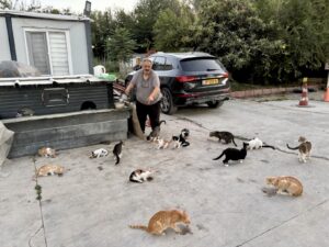 Her Gün Onlarca Sokak Kedisini Kendi Elleriyle Besliyor