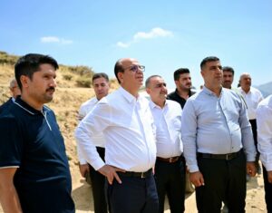 Başkan Geçit, Salkonak Geli Mezrasında Yatırımları Yerinde İnceledi