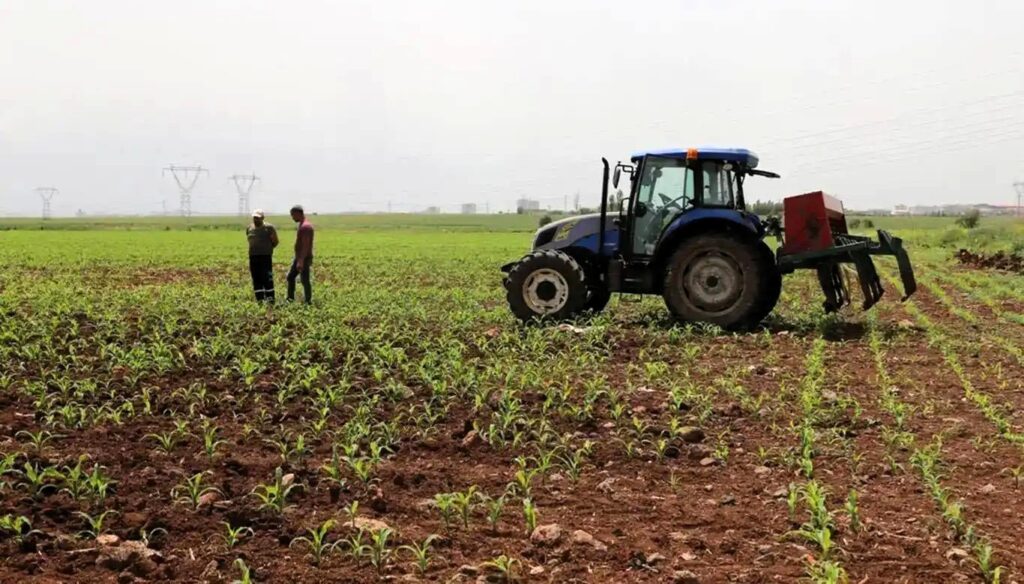Tarım-ÜFE temmuzda yüzde 18,81 arttı
