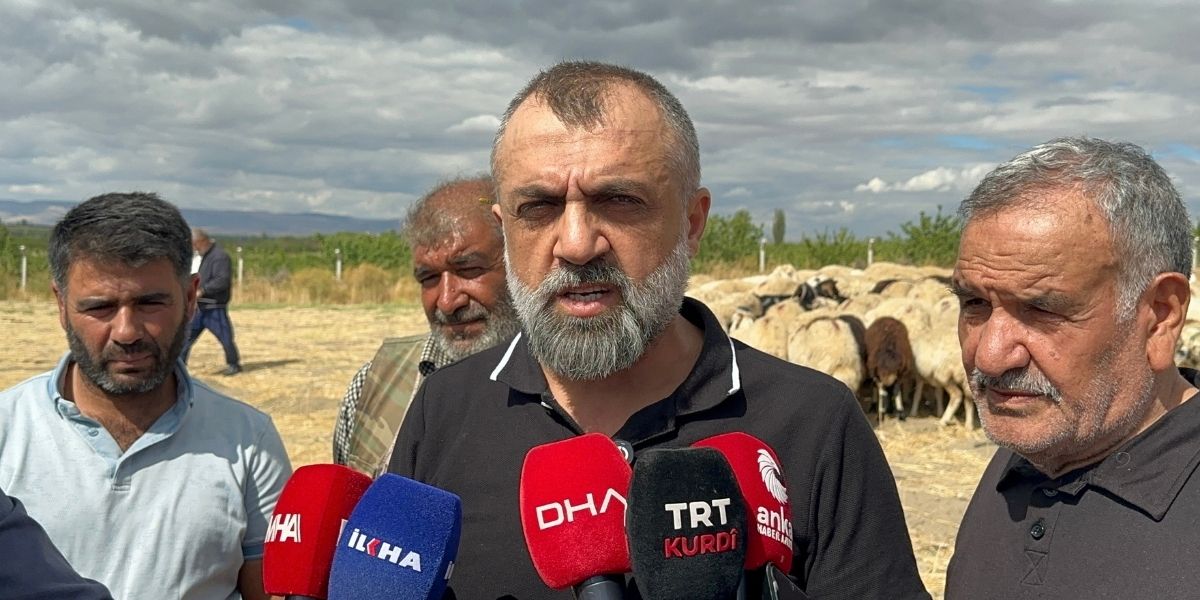 Malatya’da Küçükbaş Hayvancılık Alarm Veriyor: Çoban Maliyeti 50 Bin Liraya Dayandı