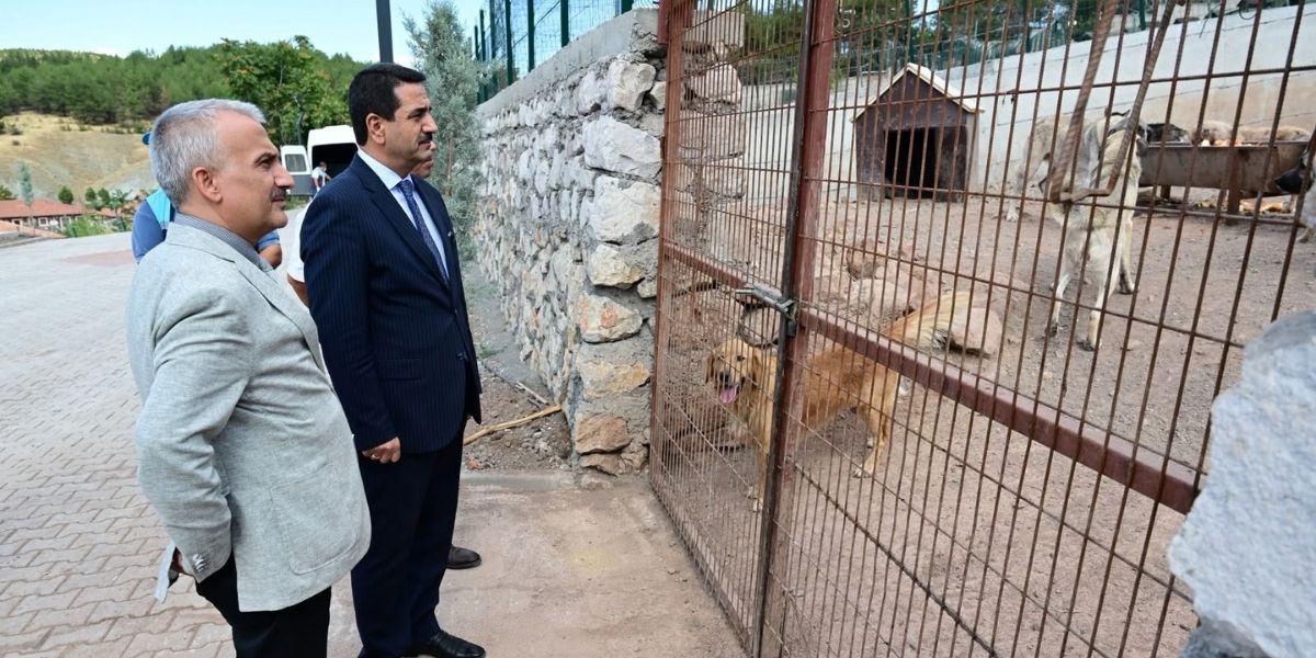 Battalgazi’de Hayvan Barınağında 350 Hayvanın Bakımı Yapılıyor