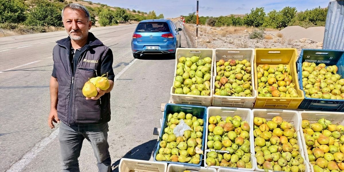 Kürecik’in Meşhur Bal Armudu Tezgâhlarda: Kilosu 100 Liraya Kadar Çıkıyor