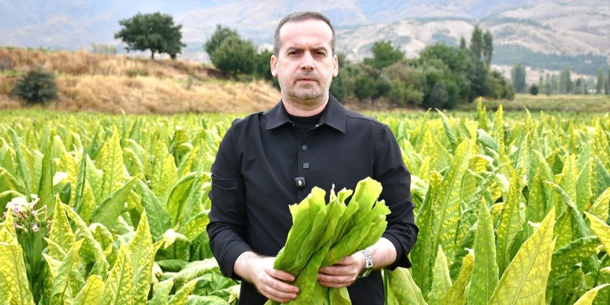 Doğanşehir’de Tütün Üreticisi Fiyatlardan Dertli: “Geçen Yıl 1 Milyon Lirayı Gören Tütün Bu Yıl 500 Bin Lira”